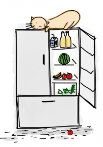 Fridge Door Wide Open
